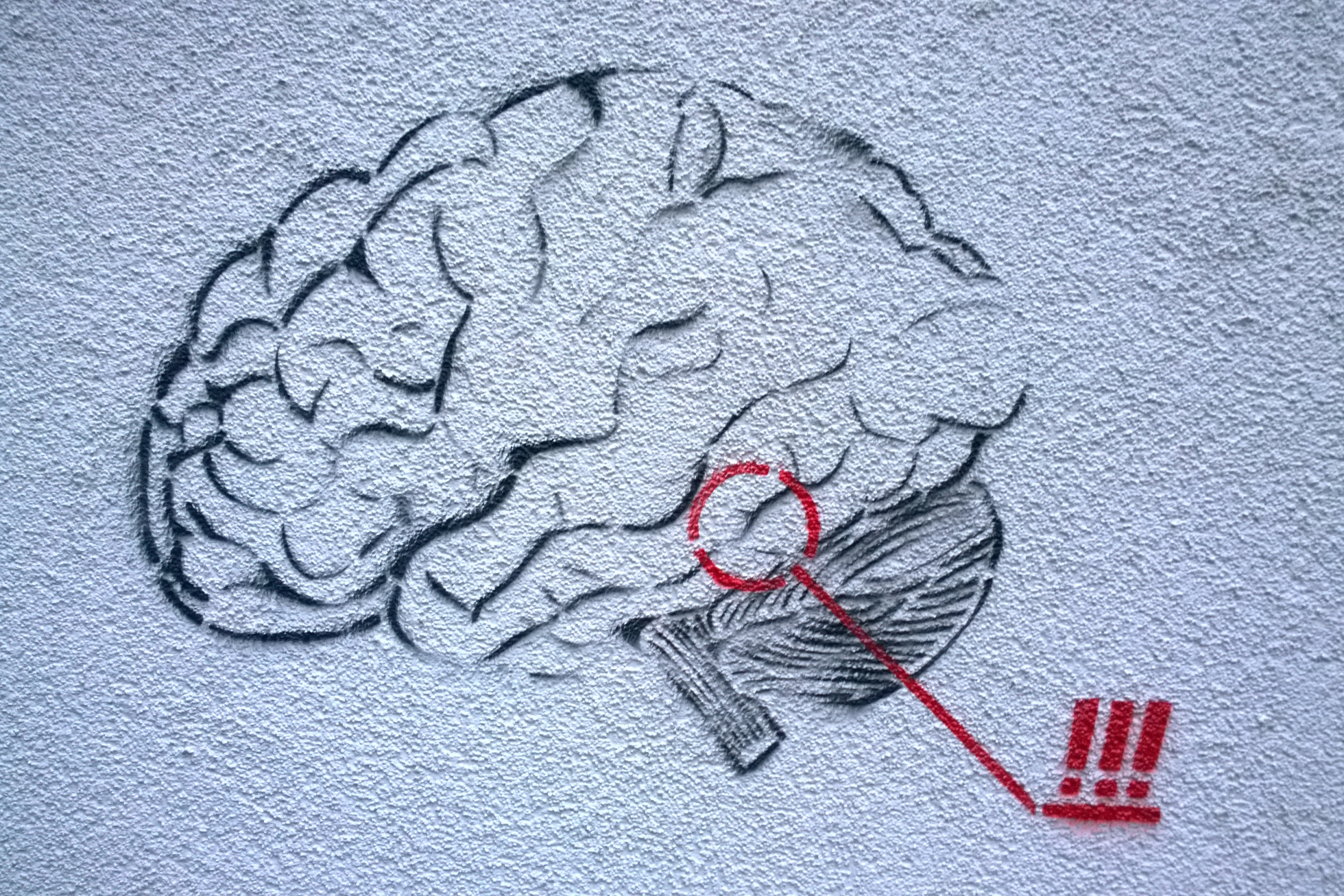 Die Hirnforschung hat lange versucht nachzuweisen, dass Frauen schlechter abstrakt denken können stencil eines gehirns