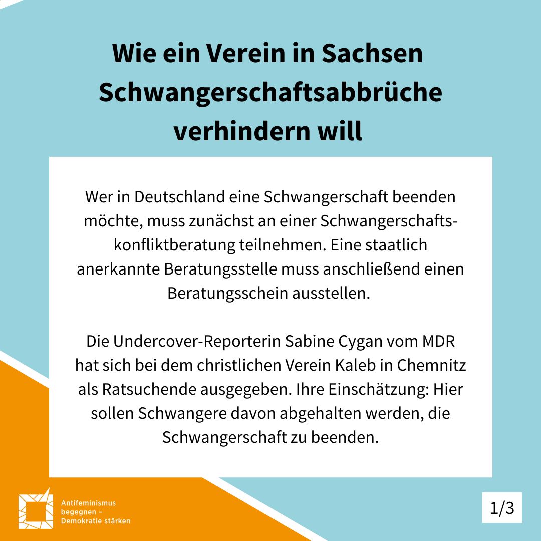 Bunte, farbige Darstellung von verschiedenen Personen in graphischer comic-artiger Weise. Unten im Bild steht geschrieben: Policy Paper - Eizellabgabe und Leihschwangerschaft