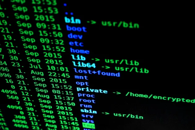 Ein schwarzer Bildschirm zeigt einen IT-Code. Grüne und blaue Zahlen und Kürzel in einer Tabelle sehen für Amateure aus wie ein Rätsel.