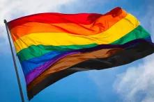 pride flag with added black anf brown stripes