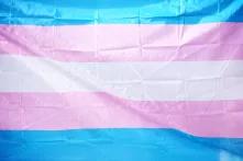 Trans* Fahne
