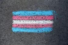 Mit Straßenkreide gemalte trans* Flagge.