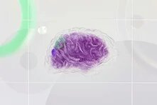 lilanes Gehirn auf einem Hintegrund, der verschiedene helle Formen abbildet
