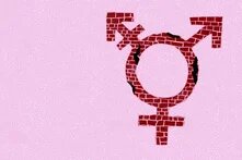 Illustration: Vor rosa Grund ist aus brüchigen Backsteinen das Transgendersymbol, aus einem Kreis und davon abzweigend drei pfeil und Kreuzkombinationen, zu sehen.