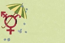 Auf grünem Hintergrund wird ein Gendersymbol aus brüchiger Ziegelwand von einem Schirm vor fliegenden Steinen geschützt.