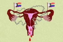 Illustration: Vor grünem Grund ist ein blutender Uterus mit zwei Progressiv-Queerflaggen.