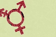 Illustration: Vor grünem Grund ist ein gemauertes Transgendersymbol.