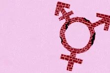 Illustration: Vor rosa Grund ist ein gemauertes Transgendersymbol.