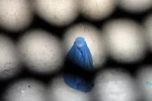 Woman burka photographed through the mesh of a burka