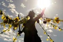 Justitia in the sunlight with grape leaves