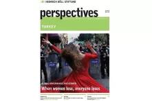 Perspectives n°12: When women, lose everyone loses