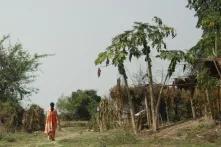 In einem Dorf in Assam (Sivasagar District), das für viele Jahre vom Konflikt heimgesucht wurde.