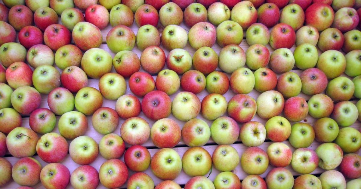 Von spießig gegenteil Das Gegenteil