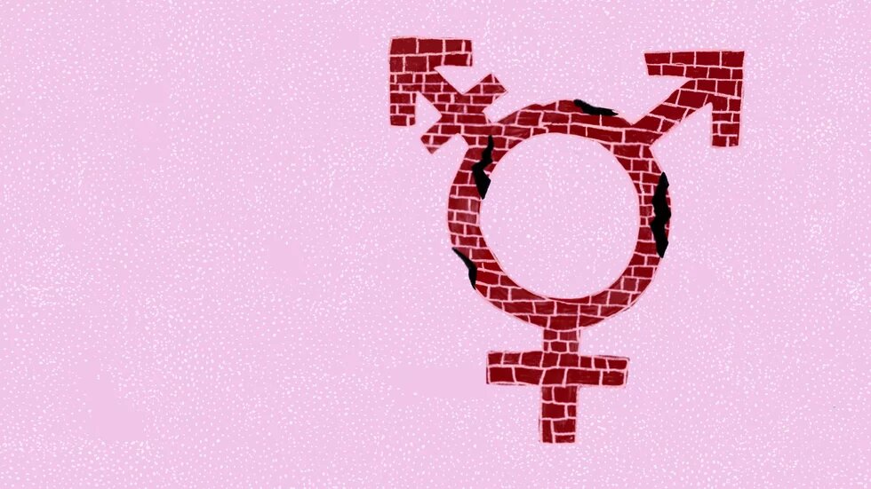 Illustration: Vor rosa Grund ist aus brüchigen Backsteinen das Transgendersymbol, aus einem Kreis und davon abzweigend drei pfeil und Kreuzkombinationen, zu sehen.