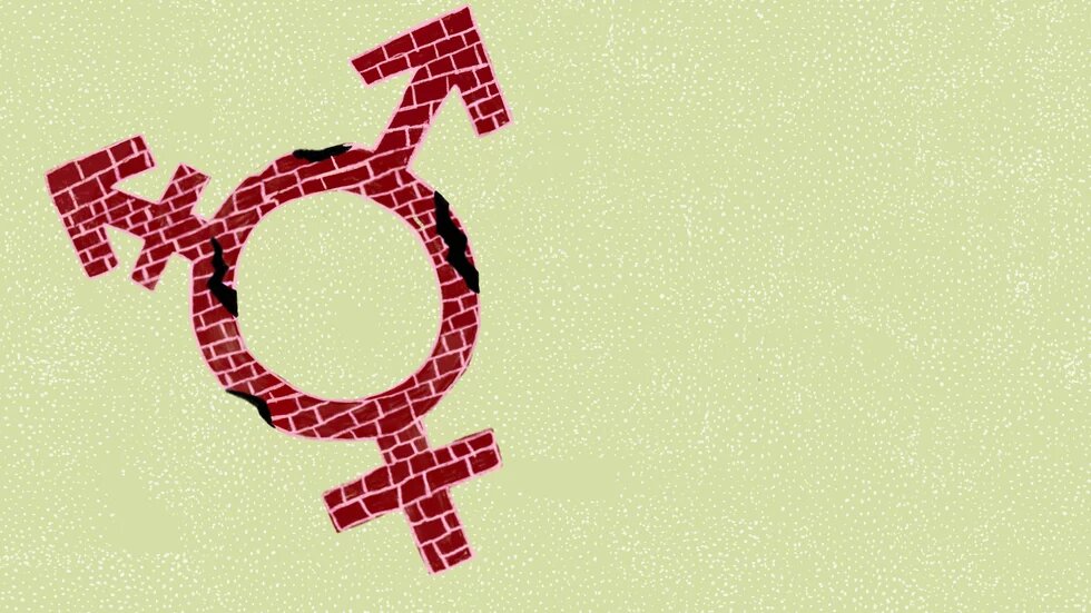 Illustration: Vor grünem Grund ist ein gemauertes Transgendersymbol.
