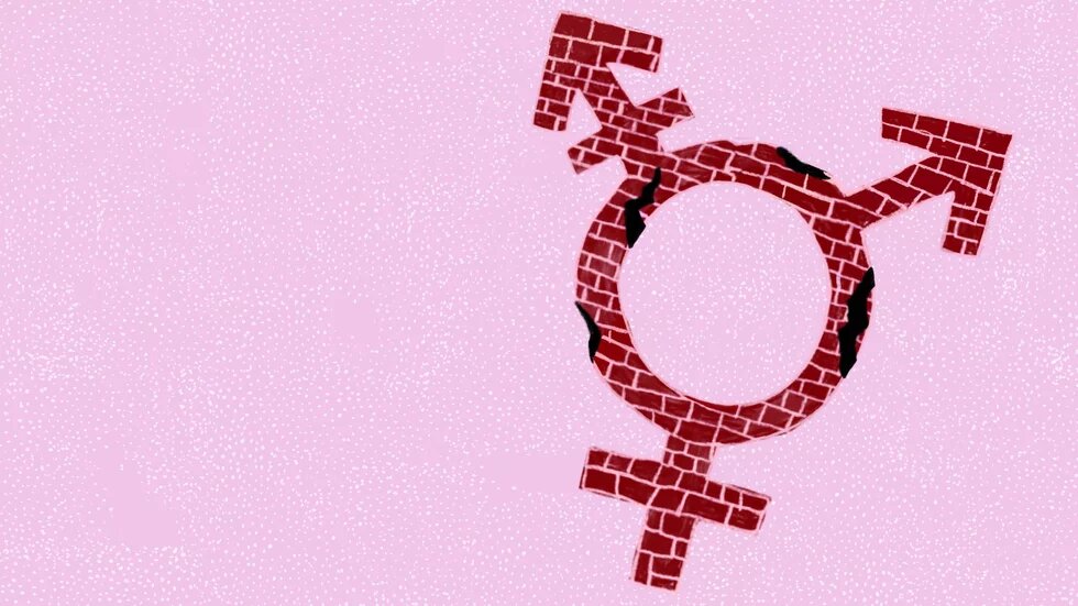 Illustration: Vor rosa Grund ist ein gemauertes Transgendersymbol.