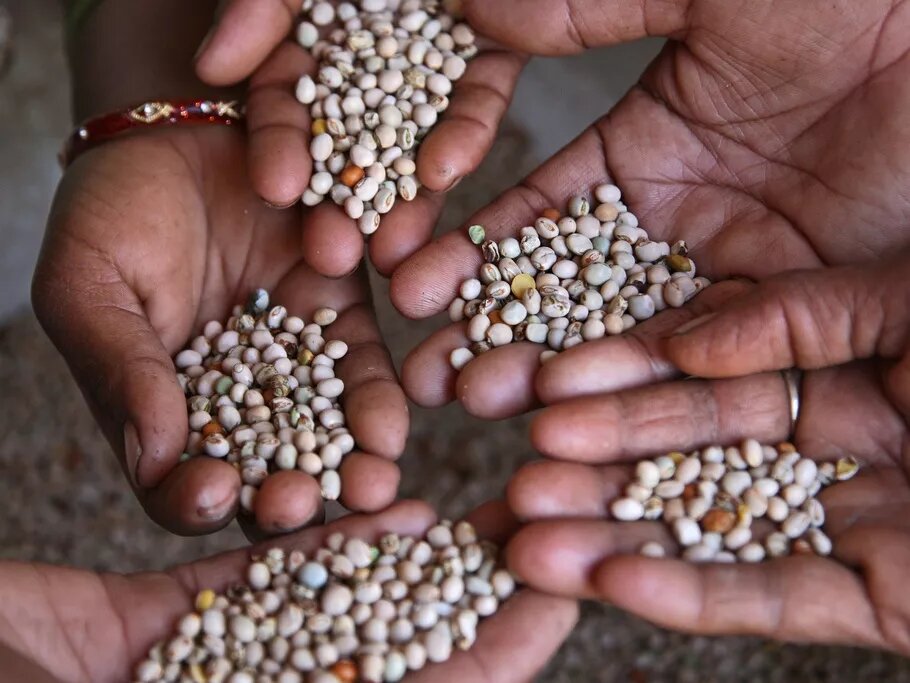 Women show their agricultural products Women show their agricultural products