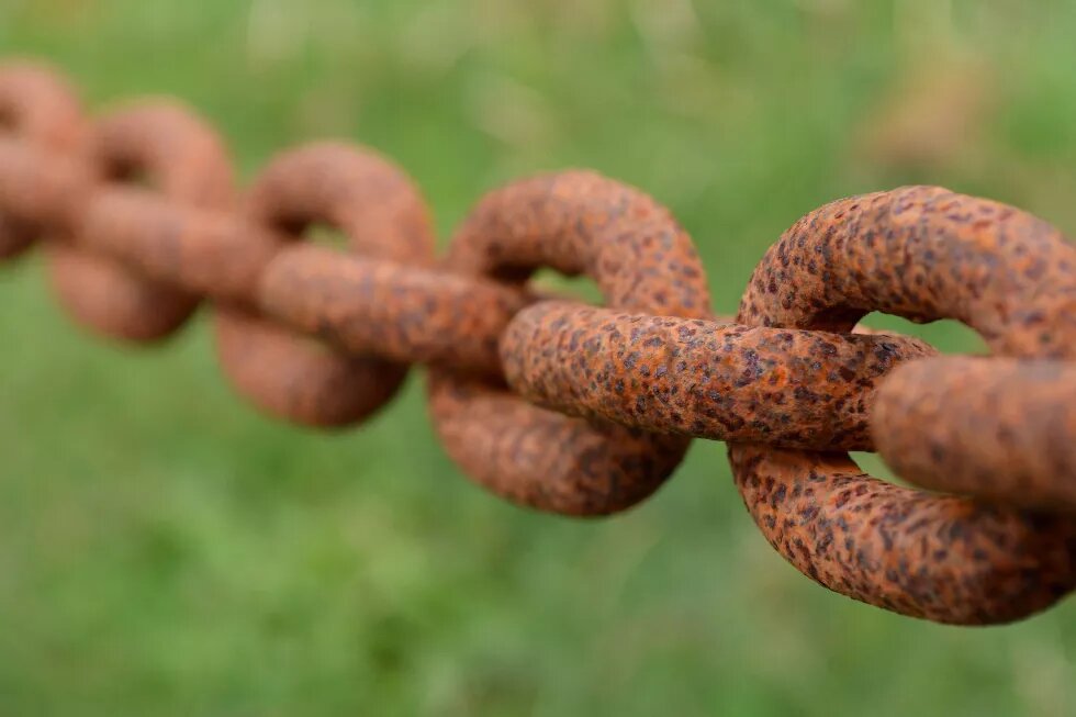 Chain Link