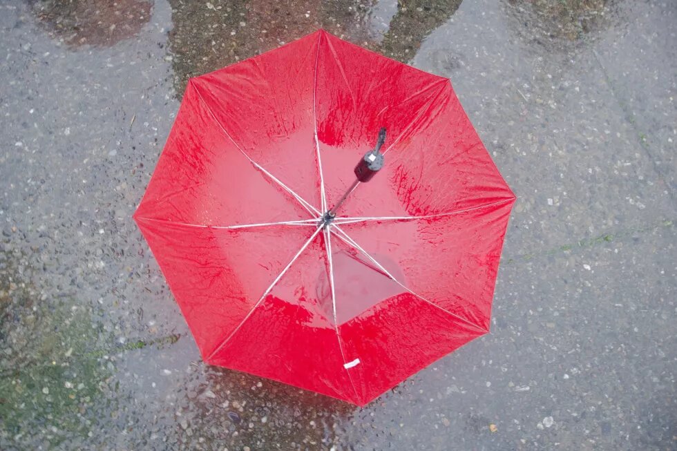 Die Anmeldepflicht ist problematisch. Sie führt zu einem Zwangsouting und zur Erpressbarkeit von Sexarbeiter_innen roter Regenschirm