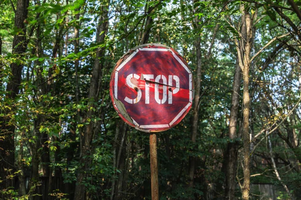 Stoppschild Altes Stoppschild vor Bäumen