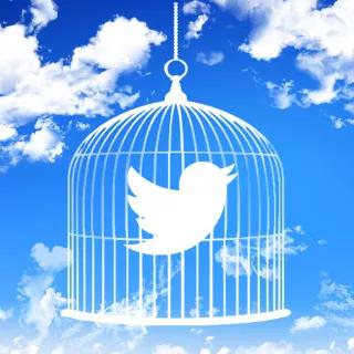 Twitter Bird in Cage