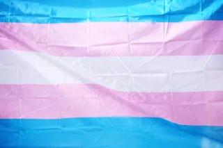 Trans* Fahne