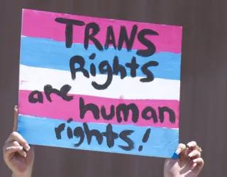 poster on demonstration saying "trans rights are human rights"