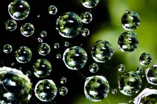 In der Folge der zunehmenden Auslagerung von Sorgearbeit aus dem privaten, unbezahlten Bereich entstehen transnationale Sorgeketten Spinnennetz mit Wassertropfen