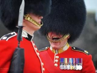 Inszenierung von Männlichkeit bei einer Parade der britischen coldstream guards.