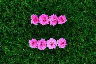 The shown equal sign is an international symbol for the legalization of gay marriage. The shown equal sign is an international symbol for the legalization of gay marriage.