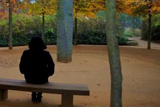 women sitting with her ​​back to the camera alone in a park