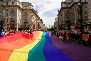 Pride London 2009-191.jpg Regenbogen-Flagge auf der London Pride Parade 2009