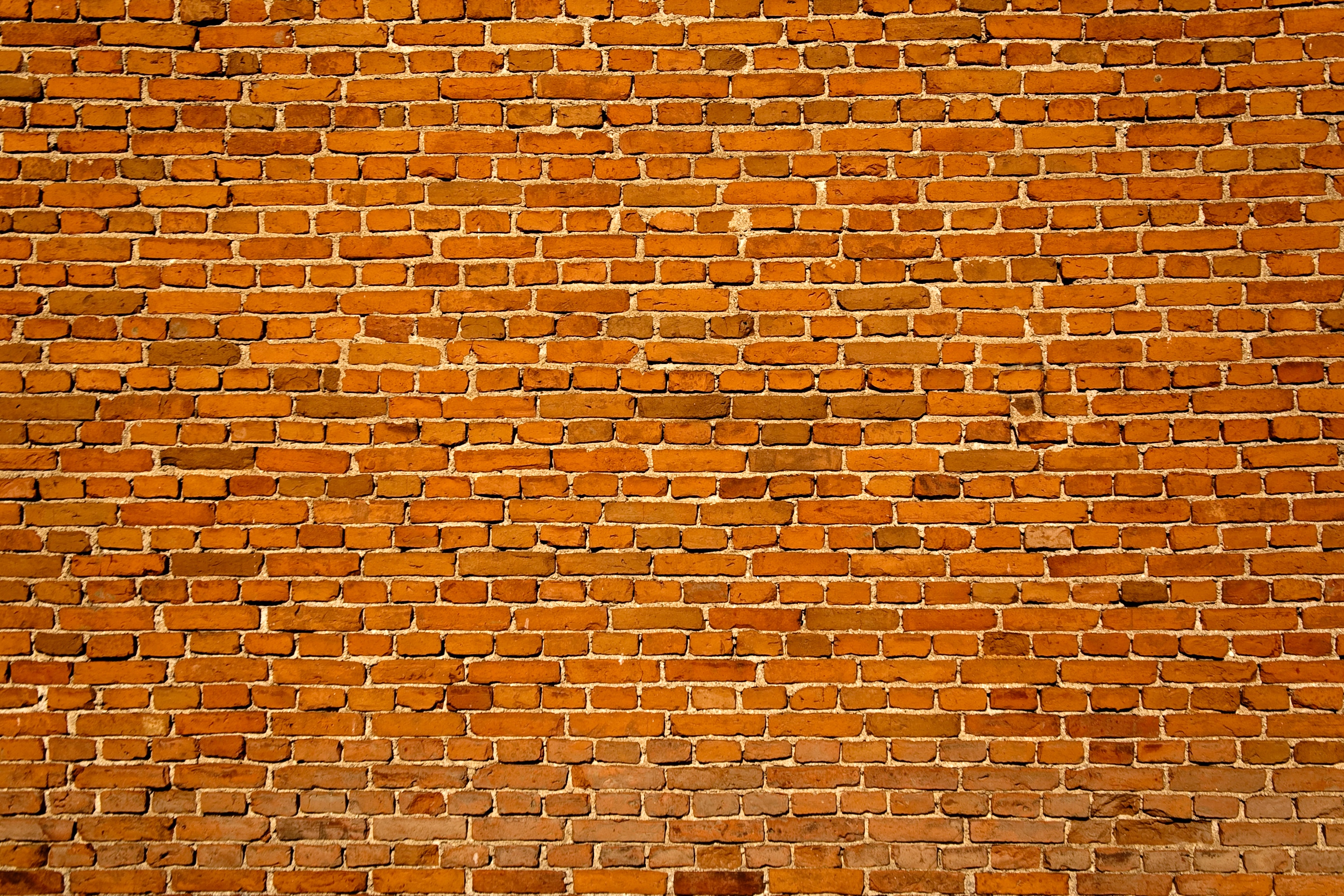 brickwall Foto einer Backsteinwand