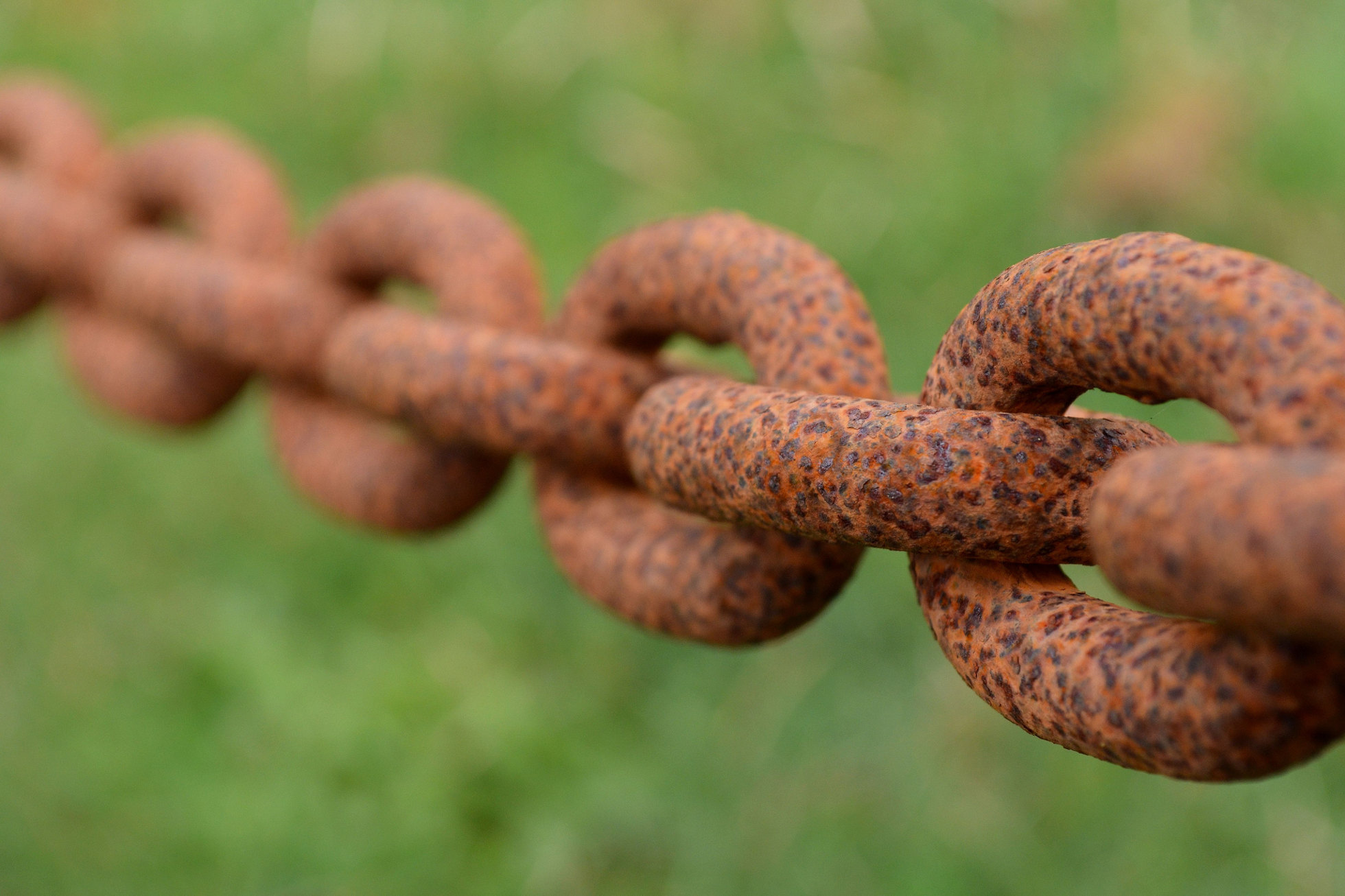 Chain Link Chain Link