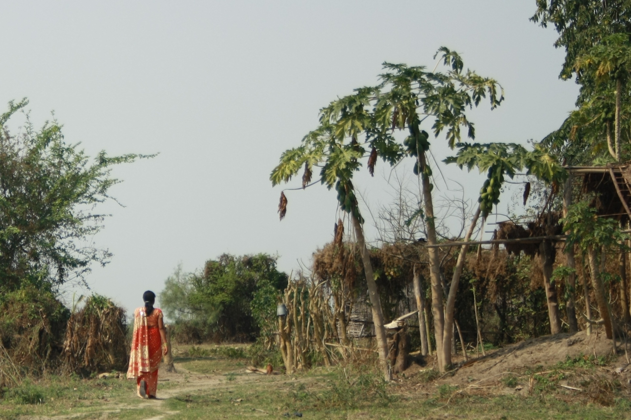 In einem Dorf in Assam (Sivasagar District), das für viele Jahre vom Konflikt heimgesucht wurde. In einem Dorf in Assam (Sivasagar District), das für viele Jahre vom Konflikt heimgesucht wurde.